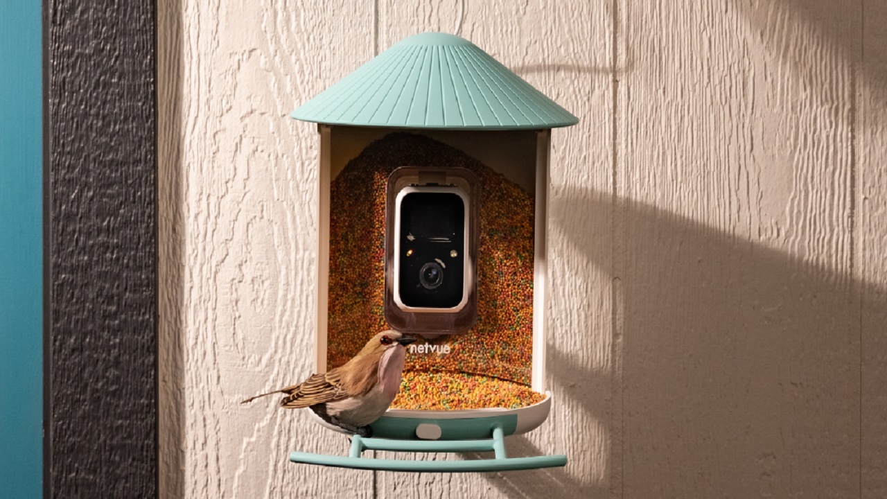 The Science Behind Bird Species Recognition with Netvue Birdfy Feeder AI